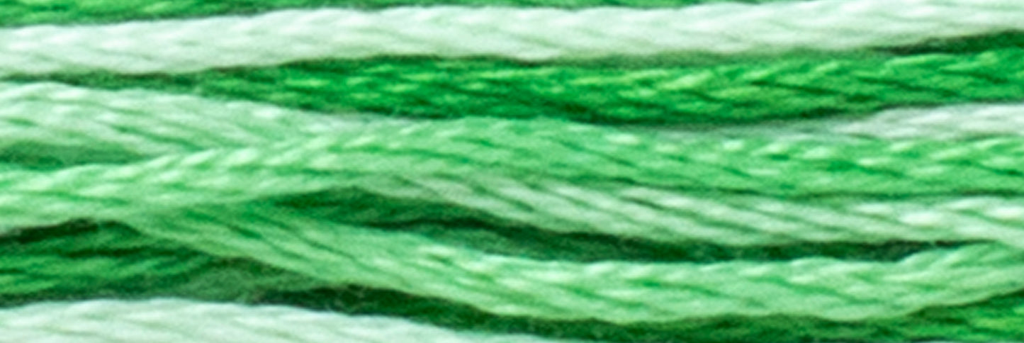 Box of 12 Stranded Cotton Luca-S - 511 / color variations