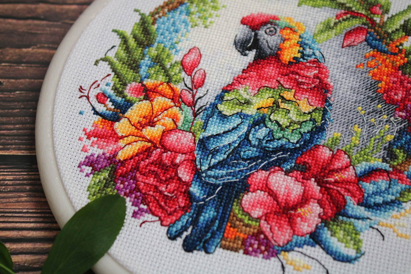 Набор для вышивки крестом с пяльцами Luca-S - The Tropical Parrot, BC201