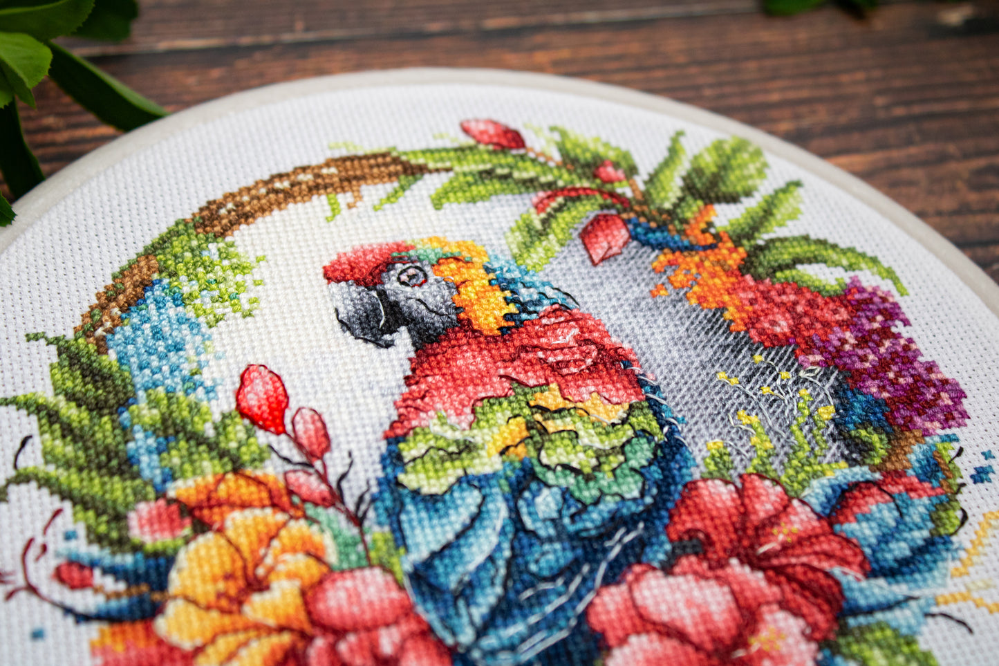 Набор для вышивки крестом с пяльцами Luca-S - The Tropical Parrot, BC201