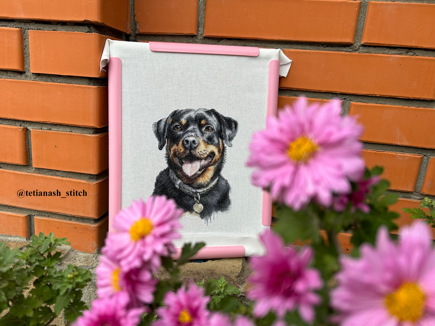 Cross Stitch Kit with Hoop Included Luca-S - Rottweiler, BC229