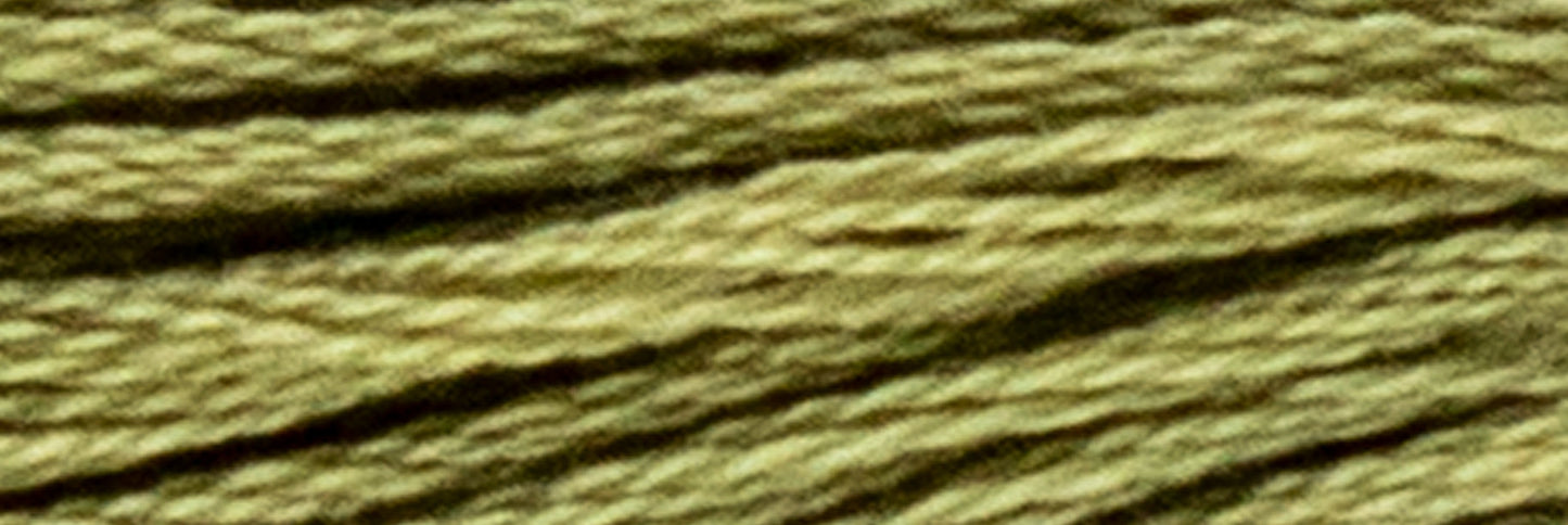 Box of 12 Stranded Cotton Luca-S - 304 / DMC 3052 / Anchor 860