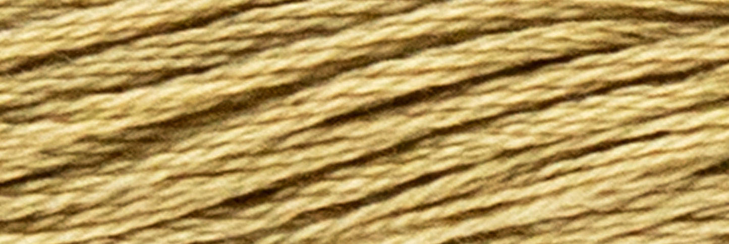 Box of 12 Stranded Cotton Luca-S - 318 / DMC 612 / Anchor 853