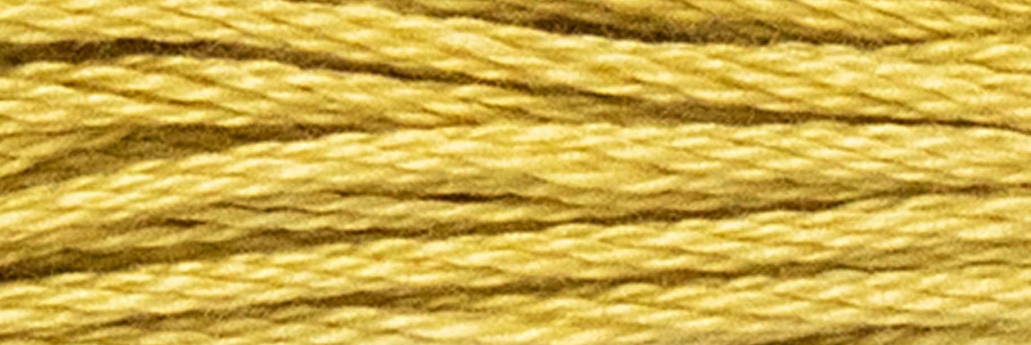 Box of 12 Stranded Cotton Luca-S - 323 / DMC 834 / Anchor 945