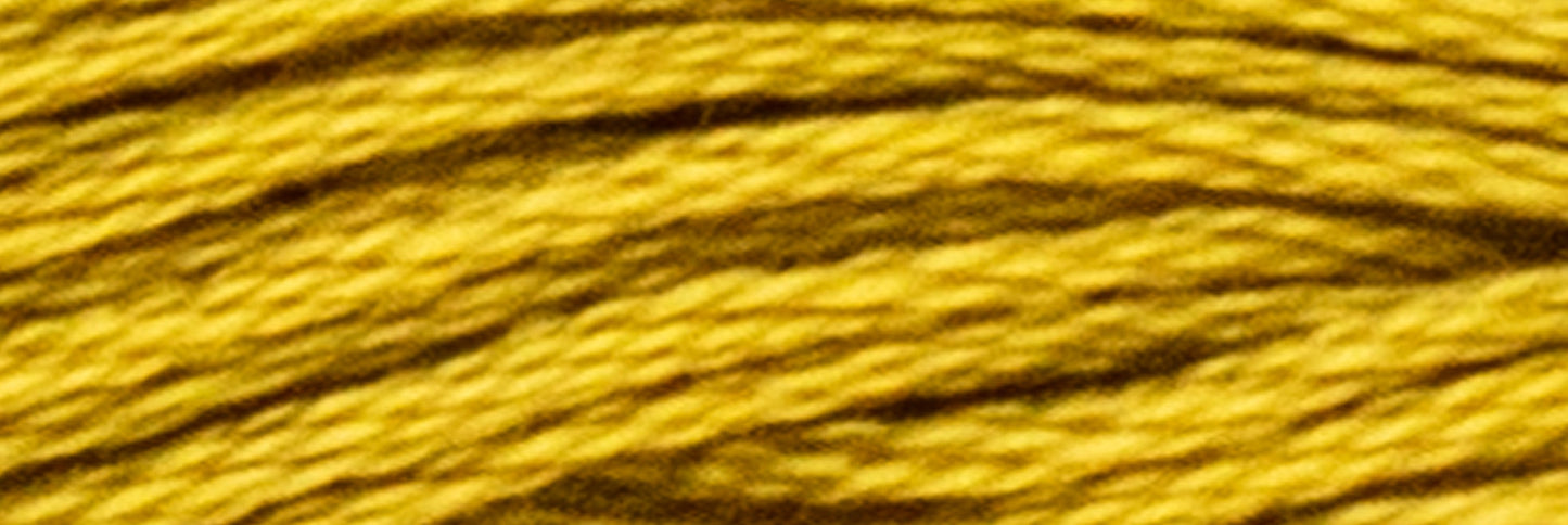 Box of 12 Stranded Cotton Luca-S - 324 / DMC 833 / Anchor 907