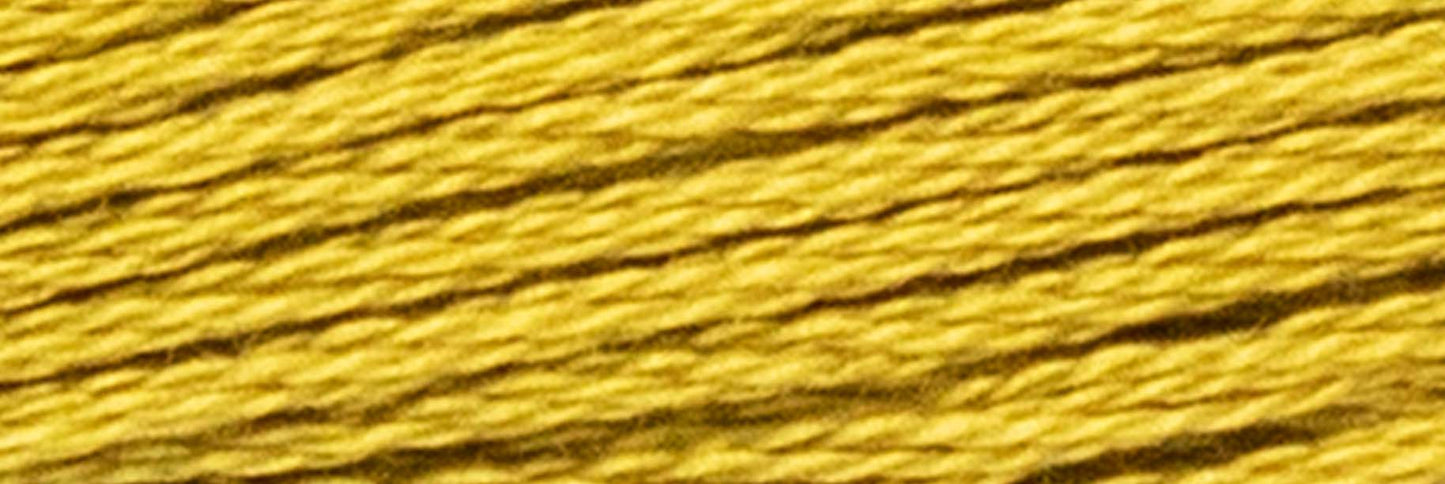 Box of 12 Stranded Cotton Luca-S - 325 / DMC 832 / Anchor 907