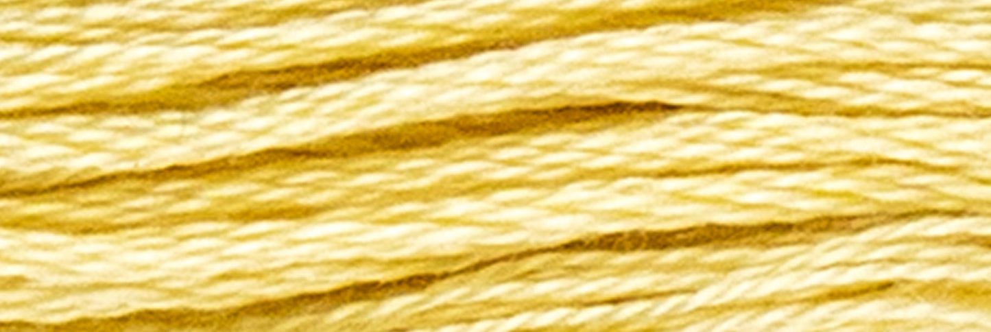 Box of 12 Stranded Cotton Luca-S - 330 / DMC 677 / Anchor 300
