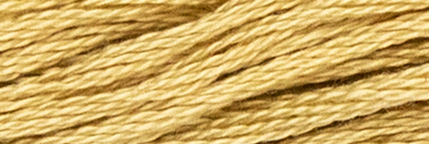 Box of 12 Stranded Cotton Luca-S - 331 / DMC 422 / Anchor 943