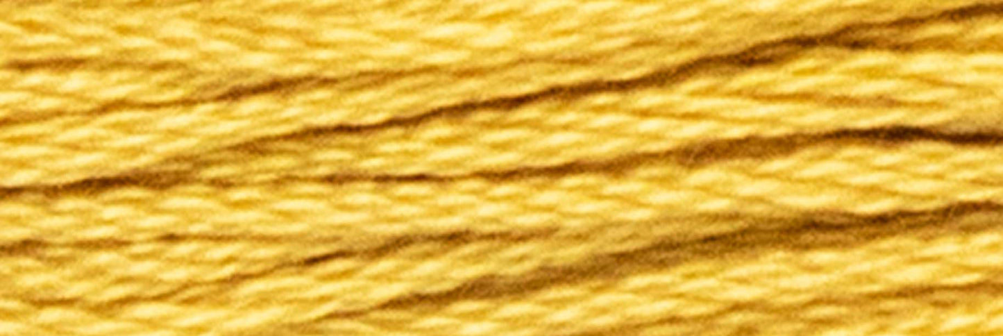 Box of 12 Stranded Cotton Luca-S - 340 / DMC 729 / Anchor 890