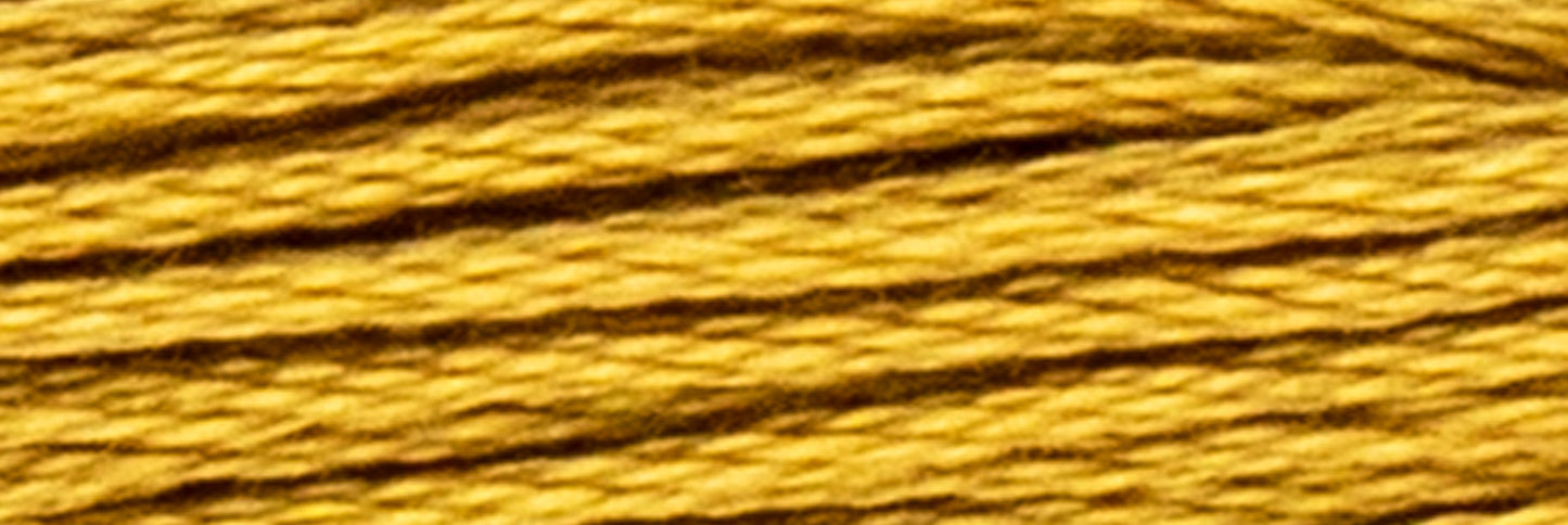 Box of 12 Stranded Cotton Luca-S - 341 / DMC 680 / Anchor 901