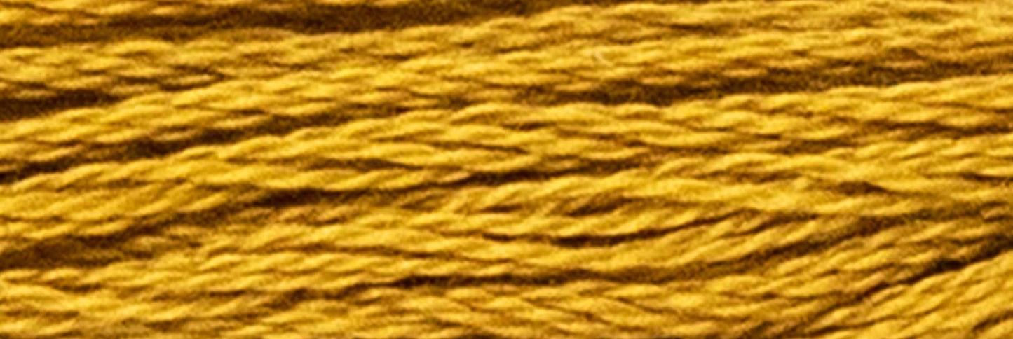 Box of 12 Stranded Cotton Luca-S - 342 / DMC 3829 / Anchor 901