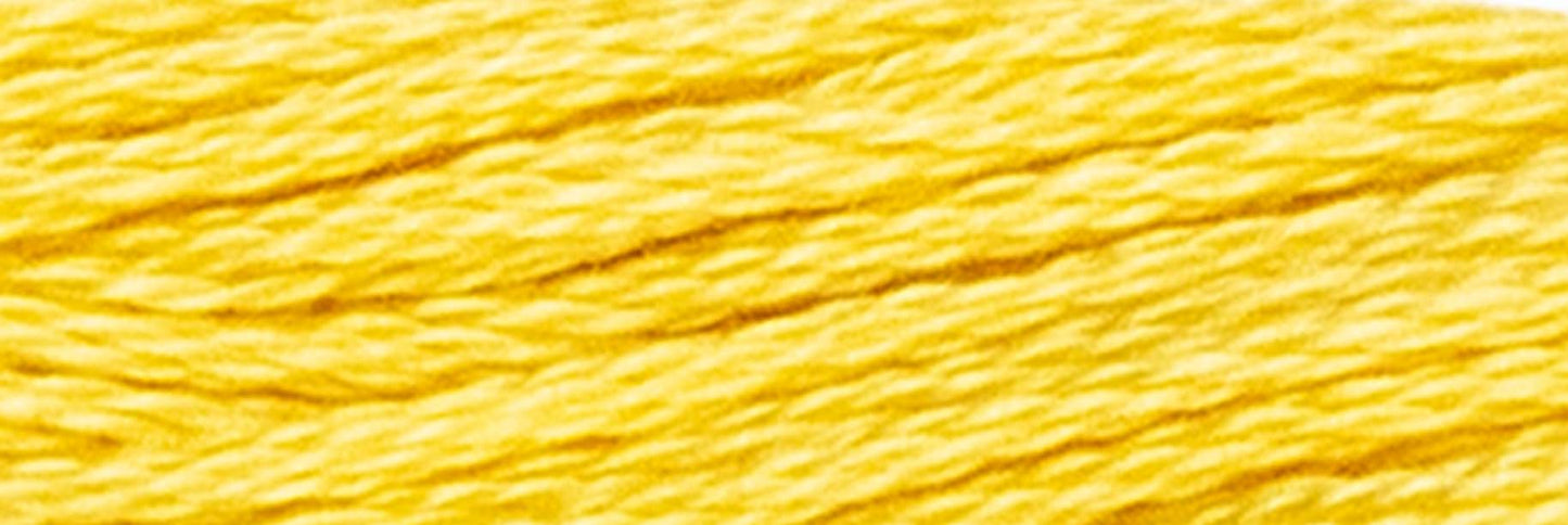 Box of 12 Stranded Cotton Luca-S - 343 / DMC 3822 / Anchor 295