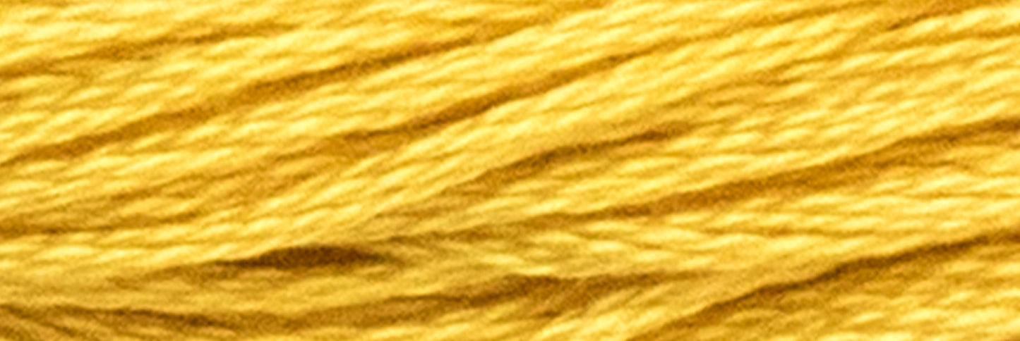 Box of 12 Stranded Cotton Luca-S - 344 / DMC 3821 / Anchor 305