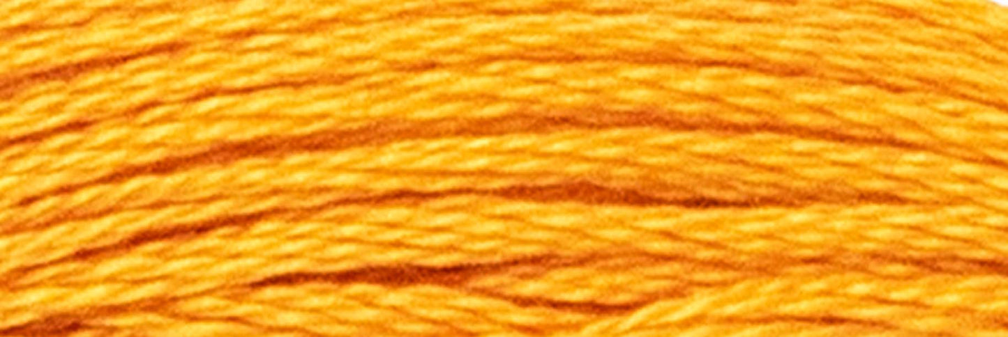 Box of 12 Stranded Cotton Luca-S - 355 / DMC 3853 / Anchor 1003