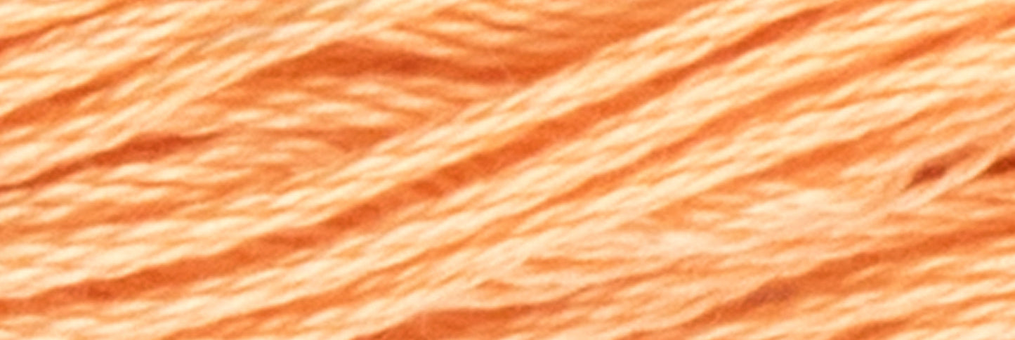 Box of 12 Stranded Cotton Luca-S - 398 / DMC 3825 / Anchor 1047