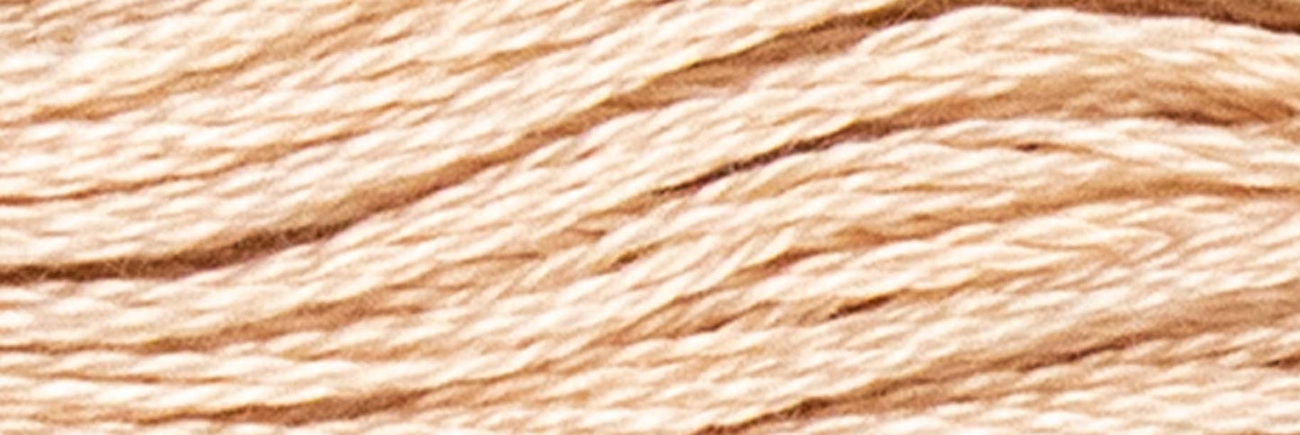 Box of 12 Stranded Cotton Luca-S - 418 / DMC 950 / Anchor 880