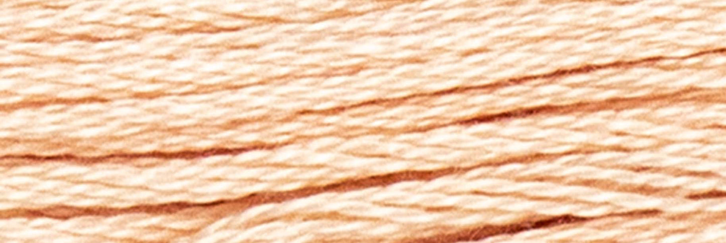 Box of 12 Stranded Cotton Luca-S - 419 / DMC 950 / Anchor 4146