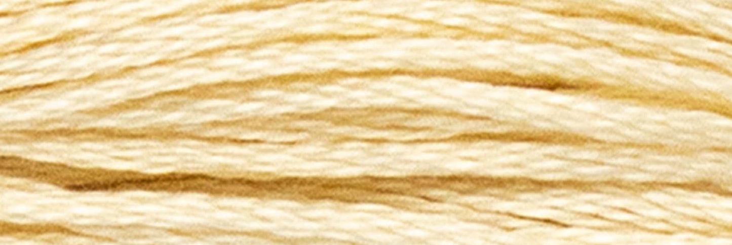 Box of 12 Stranded Cotton Luca-S - 446 / DMC 739/ Anchor -