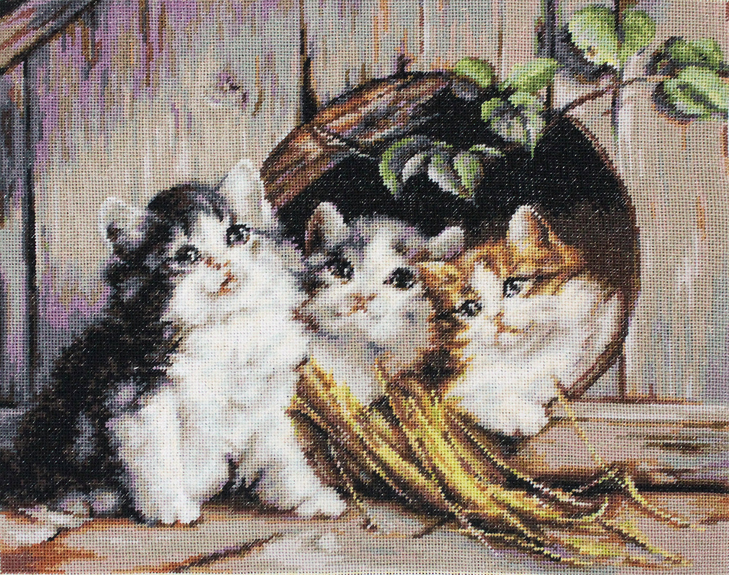Petit Point Kit Luca-S - Котята G520