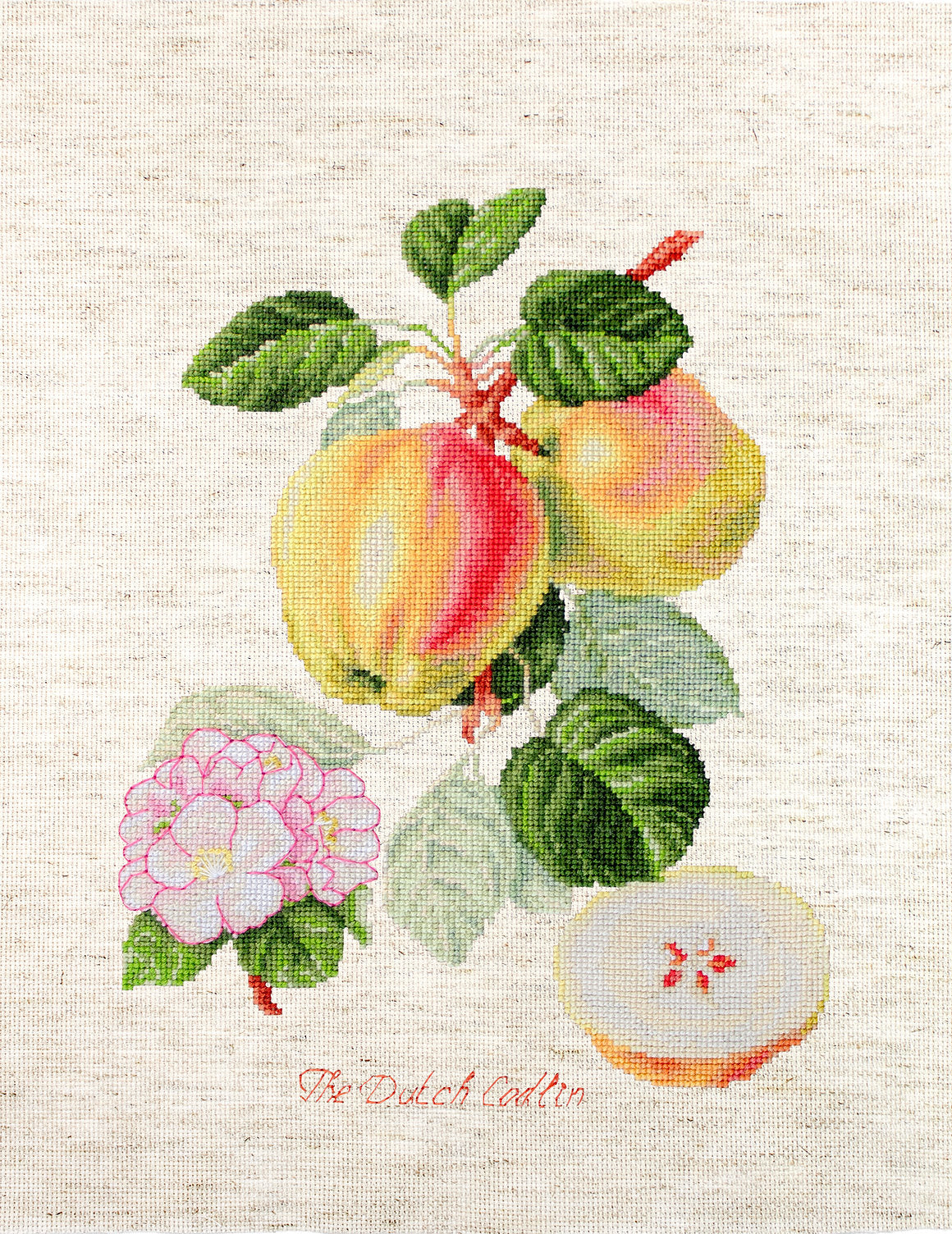 Cross Stitch Kit Luca-S - The Dutch Codlin