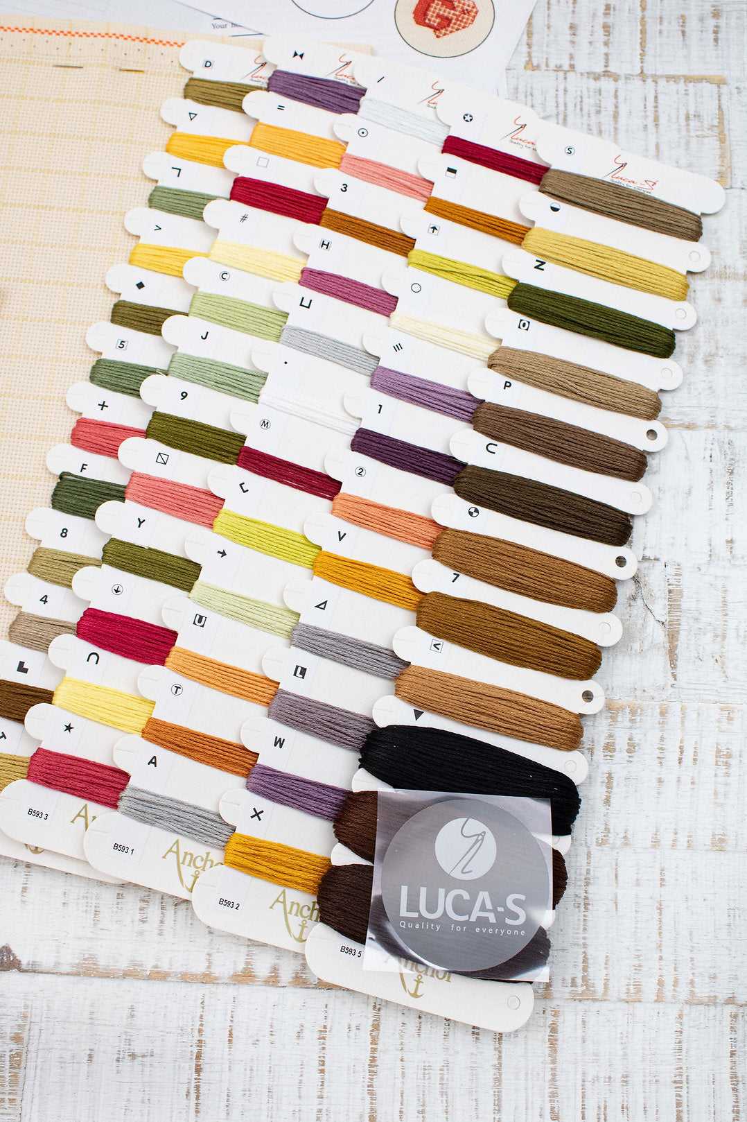 Cross Stitch Kit Luca-S - Still Life with Peach and Grapes, B593