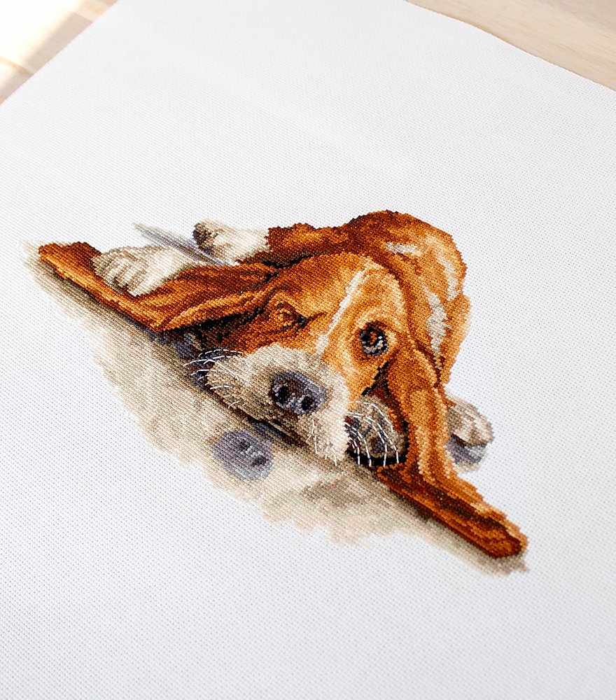 Cross Stitch Kit Luca-S - Basset, B2341