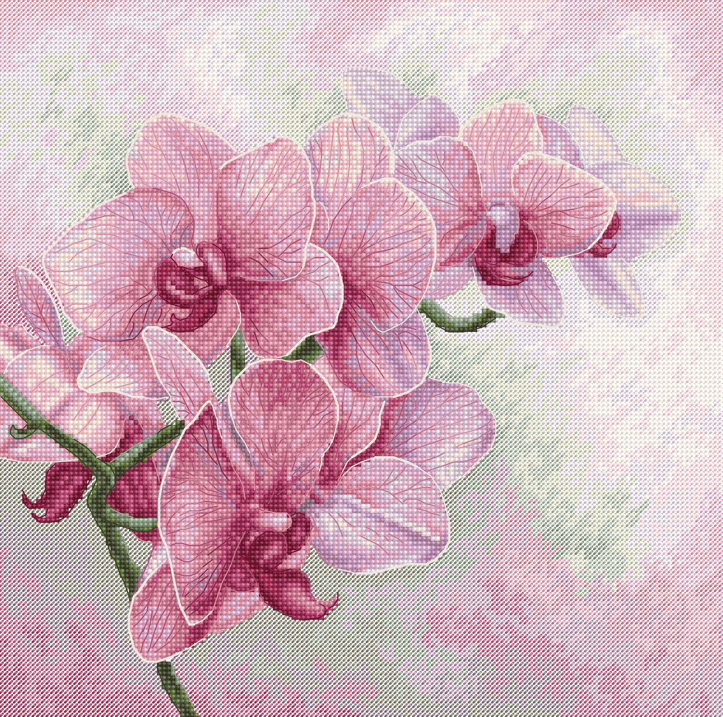 Cross Stitch Pattern Luca-S - Graceful Orchids, P7009