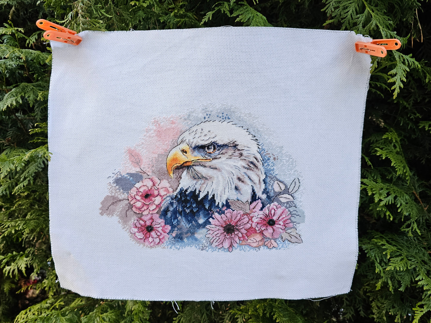 Cross Stitch Kit Luca-S - Hunting Eagle, BM3021