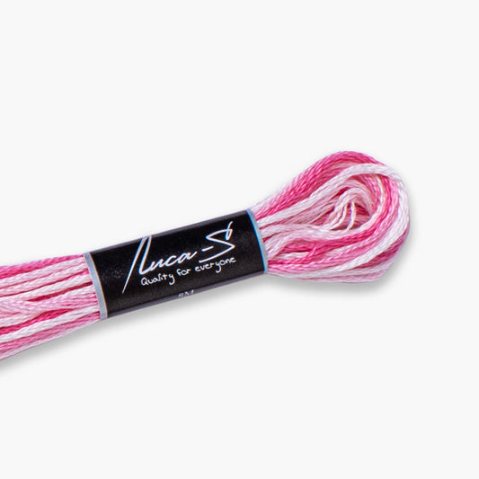Box of 12 Stranded Cotton Luca-S - 510 / color variations