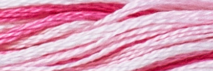Box of 12 Stranded Cotton Luca-S - 510 / color variations