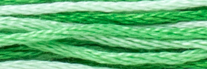 Box of 12 Stranded Cotton Luca-S - 511 / color variations