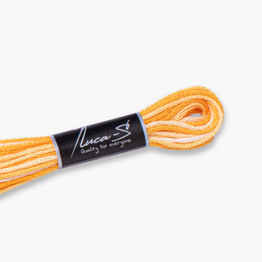 Box of 12 Stranded Cotton Luca-S - 514 / color variations