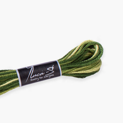 Box of 12 Stranded Cotton Luca-S - 515 / color variations