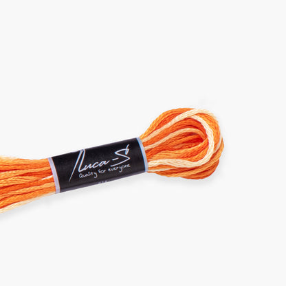 Box of 12 Stranded Cotton Luca-S - 516 / color variations