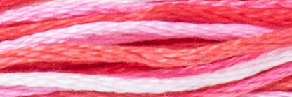Box of 12 Stranded Cotton Luca-S - 519 / color variations