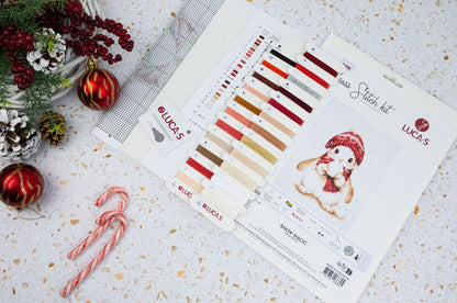Cross Stitch Kit Luca-S - Snow Magic, B1418