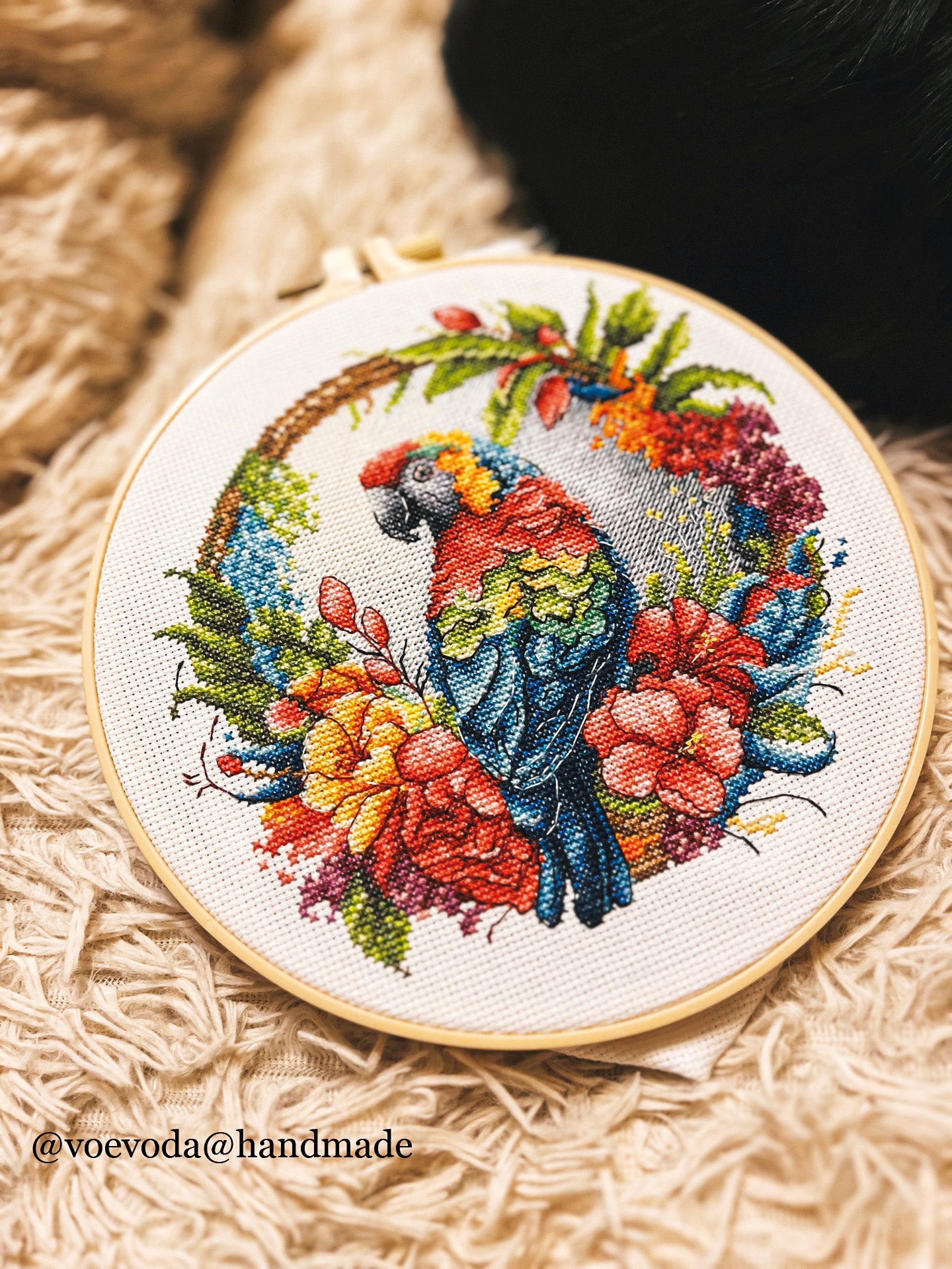 Набор для вышивки крестом с пяльцами Luca-S - The Tropical Parrot, BC201