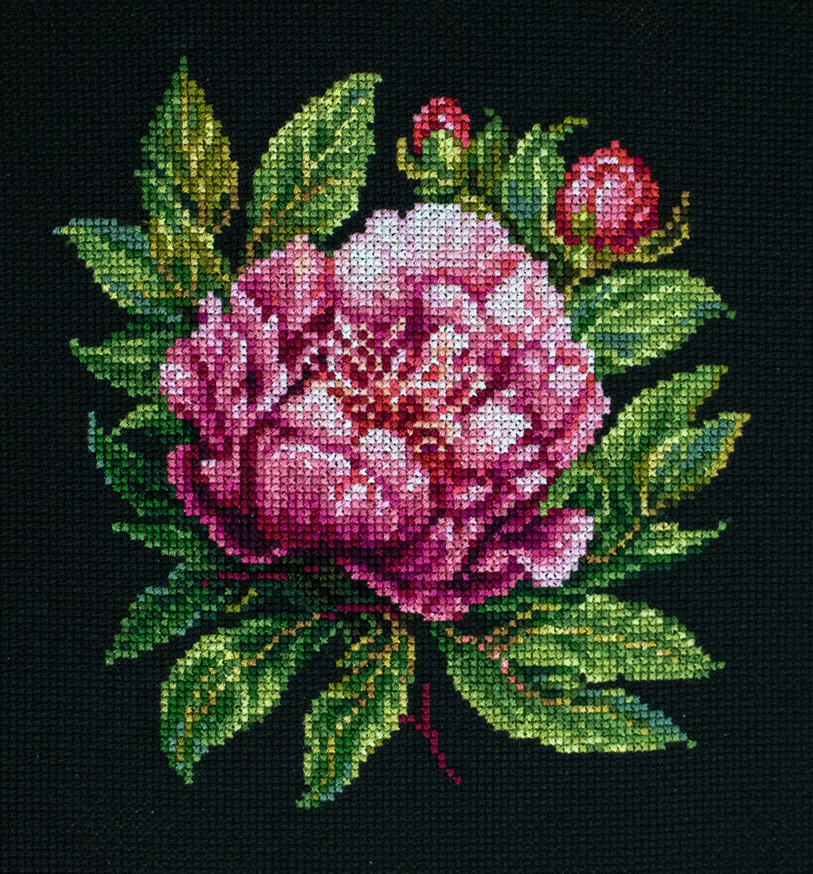 Cross Stitch Kit with Hoop Included Luca-S - ’’Peter Brand’’ Peony, BC204