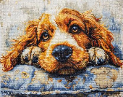 Cross Stitch Kit Luca-S -  Cocker Spaniel, BU5058