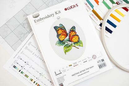 Cross Stitch Kit with Hoop Included Luca-S - Meeting After the Rain, BC239
