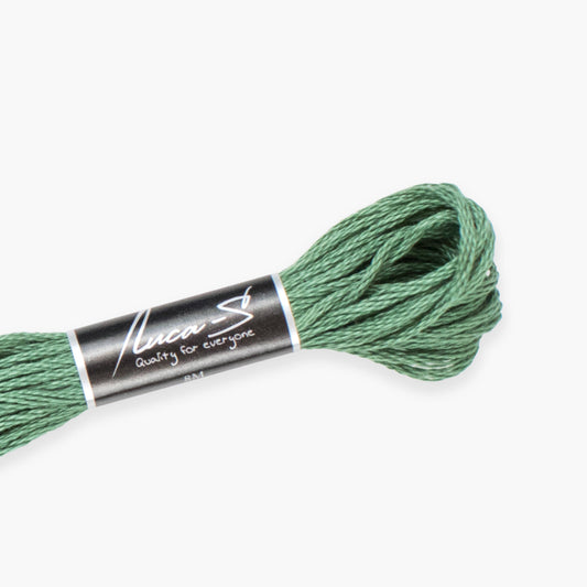 Box of 12 Stranded Cotton Luca-S - 249 / DMC  367   / Anchor 216
