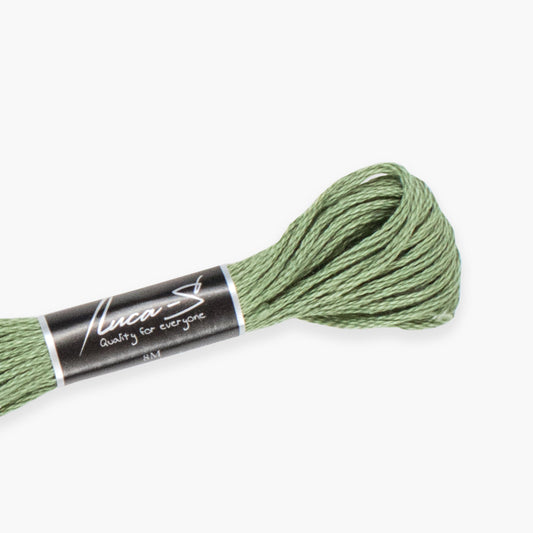 Box of 12 Stranded Cotton Luca-S - 300 / DMC 3363 / Anchor 262