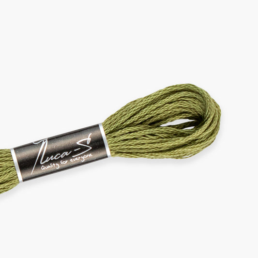 Box of 12 Stranded Cotton Luca-S - 304 / DMC 3052 / Anchor 860