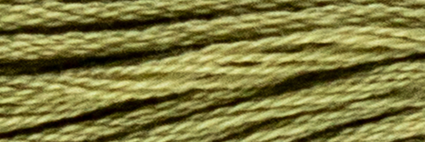 Stranded Cotton Luca-S - 304 / DMC 3052 / Anchor 860
