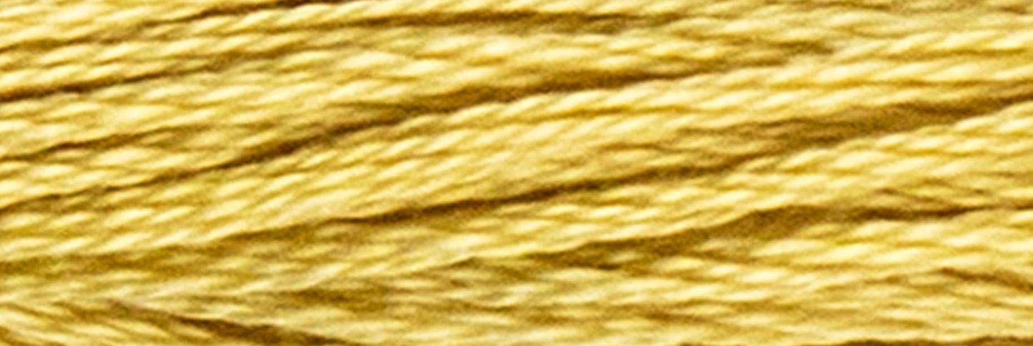 Box of 12 Stranded Cotton Luca-S - 336 / DMC 3046 / Anchor 945