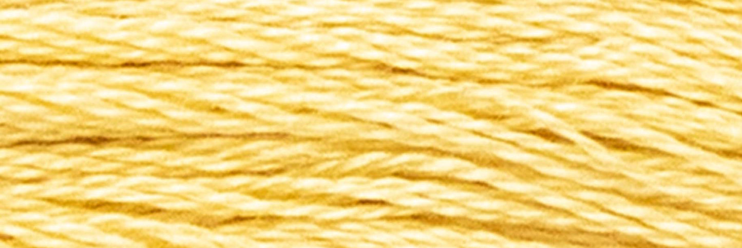 Box of 12 Stranded Cotton Luca-S - 339 / DMC 676 / Anchor 891