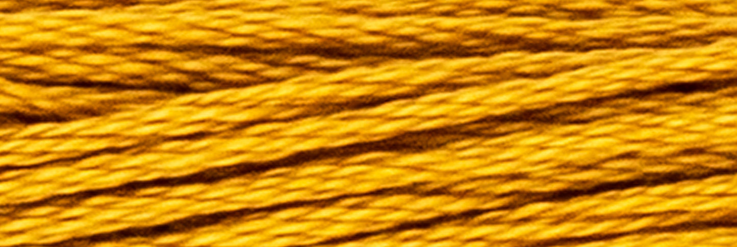 Box of 12 Stranded Cotton Luca-S - 349 / DMC 782 / Anchor 308
