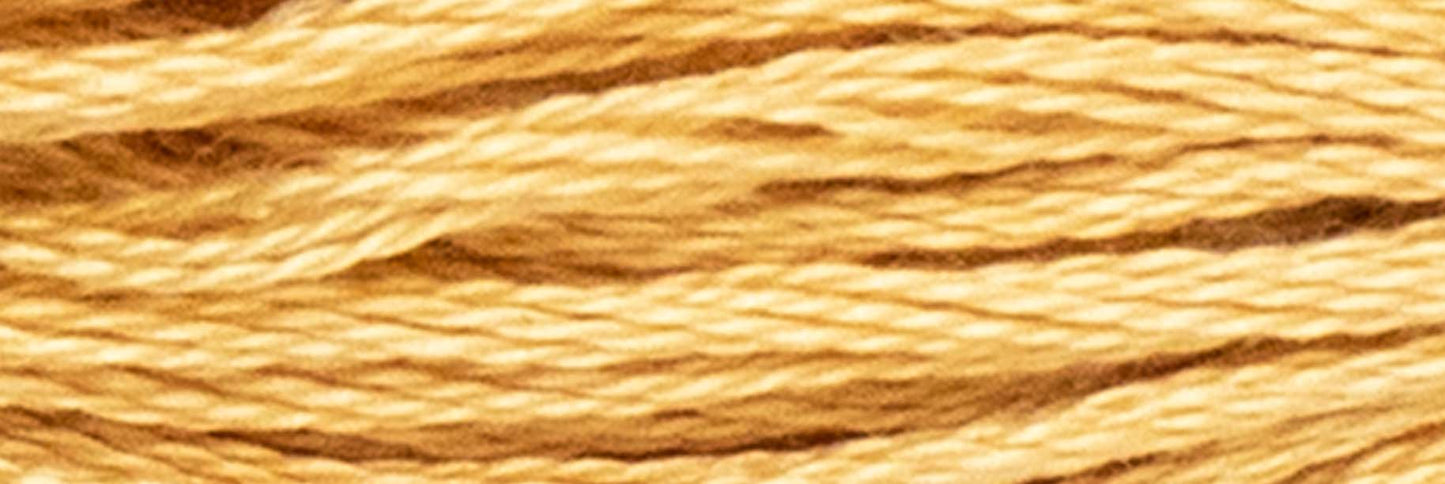 Box of 12 Stranded Cotton Luca-S - 448 / DMC 437 / Anchor 363