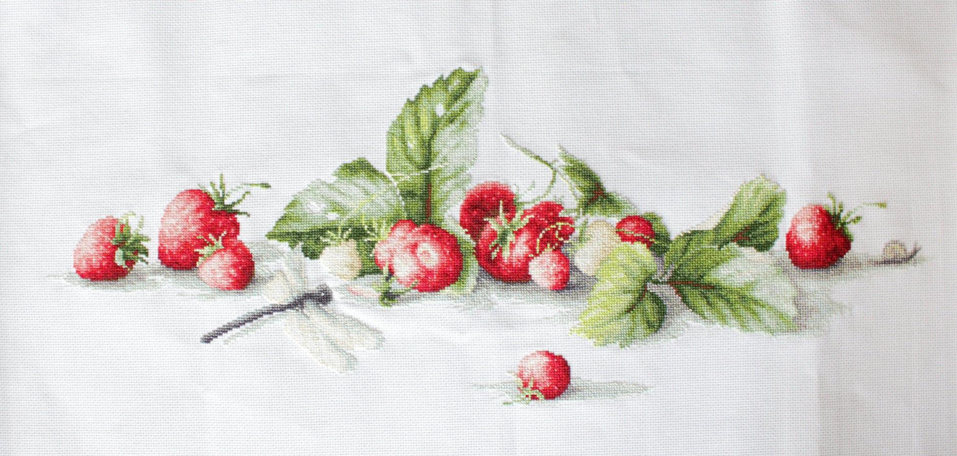 Cross Stitch Kit Luca-S - Etude with Strawberries - HobbyJobby