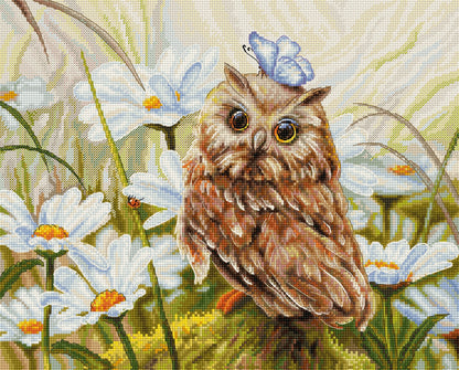 Cross Stitch Kit Luca-S - Lucky Owl, B7011