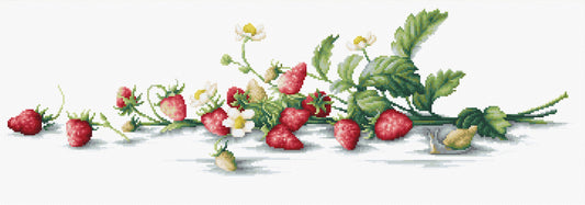 Cross Stitch Kit Luca-S - Etude with Strawberries, B2266